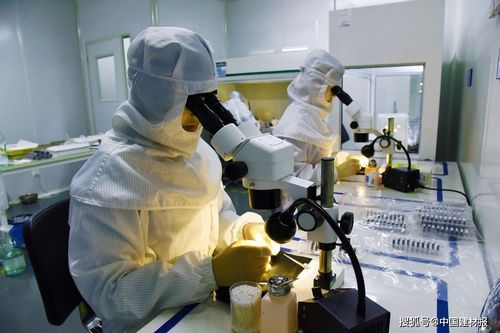 中流砥柱 敢立潮头 中国建材集团多项产品服务国家重大项目